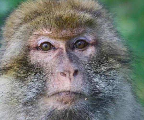 Apartmán K1957 - Dutum